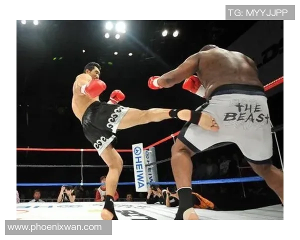 姚明挑战极限展现搏击魅力引发体育界热议与关注